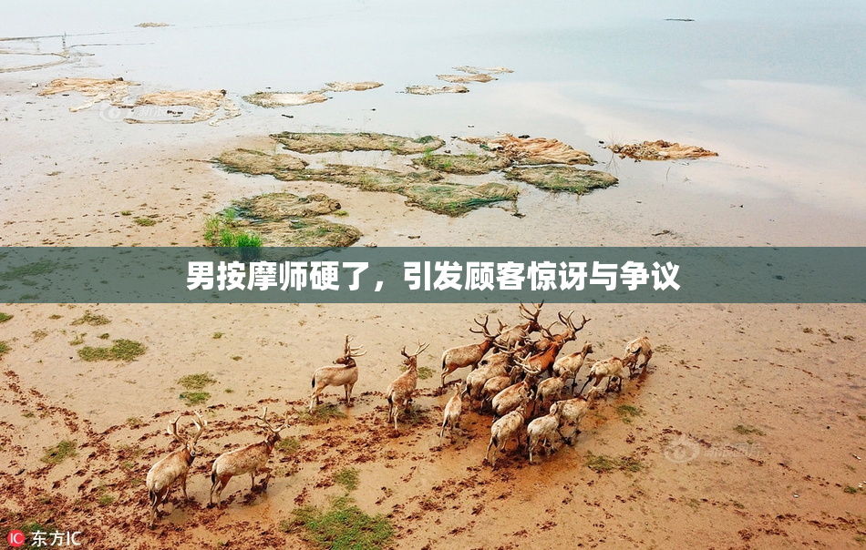 男按摩师硬了，引发顾客惊讶与争议