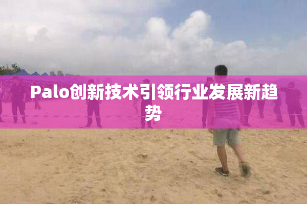 Palo创新技术引领行业发展新趋势