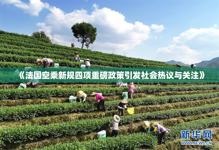 《法国空乘新规四项重磅政策引发社会热议与关注》