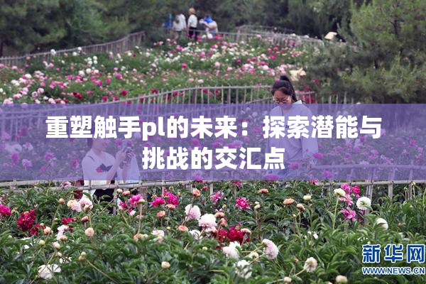 重塑触手pl的未来：探索潜能与挑战的交汇点