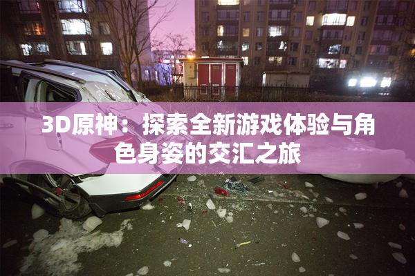 3D原神：探索全新游戏体验与角色身姿的交汇之旅