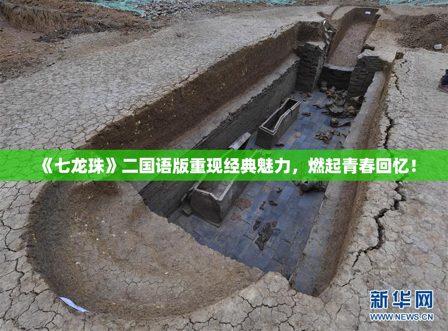 《七龙珠》二国语版重现经典魅力，燃起青春回忆！