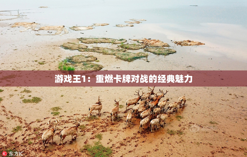 游戏王1：重燃卡牌对战的经典魅力