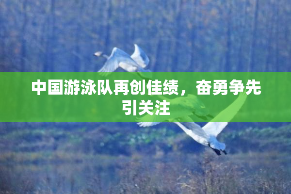中国游泳队再创佳绩，奋勇争先引关注