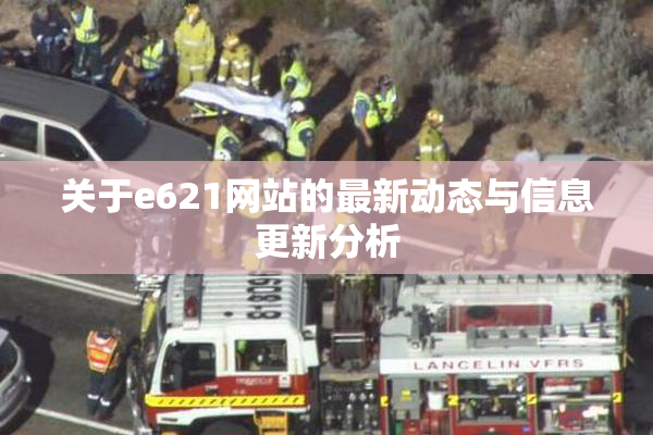 关于e621网站的最新动态与信息更新分析