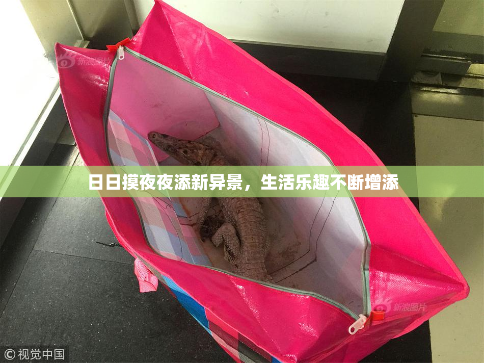 日日摸夜夜添新异景，生活乐趣不断增添