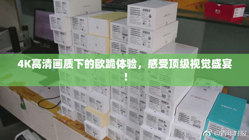 4K高清画质下的欧跪体验，感受顶级视觉盛宴！