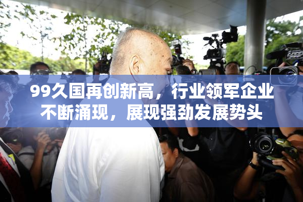 99久国再创新高，行业领军企业不断涌现，展现强劲发展势头