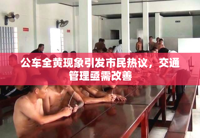 公车全黄现象引发市民热议，交通管理亟需改善