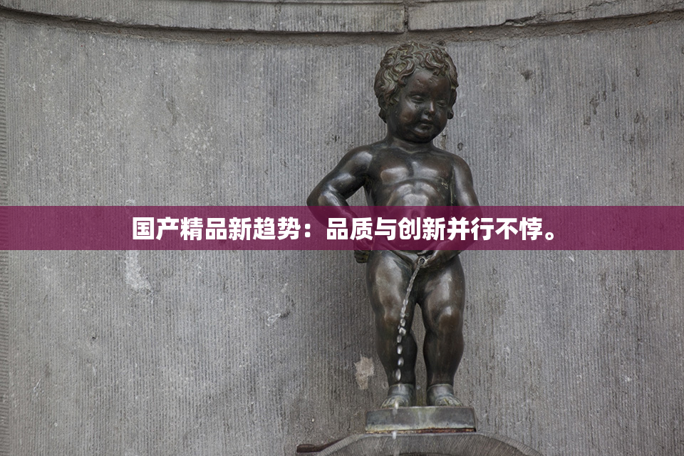 国产精品新趋势：品质与创新并行不悖。