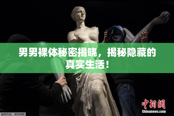 男男裸体秘密揭晓，揭秘隐藏的真实生活！