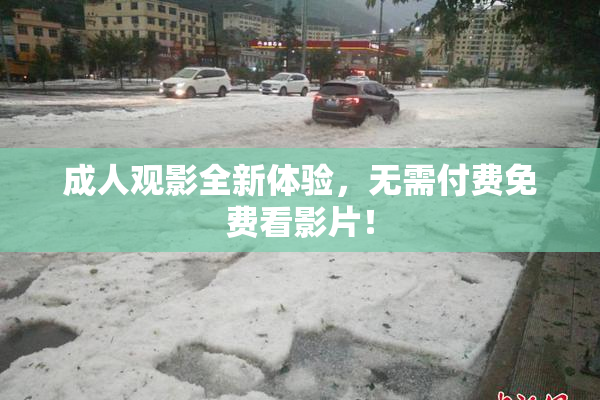成人观影全新体验，无需付费免费看影片！