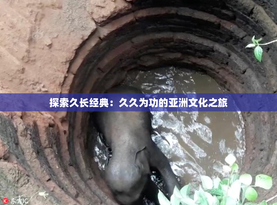 探索久长经典：久久为功的亚洲文化之旅
