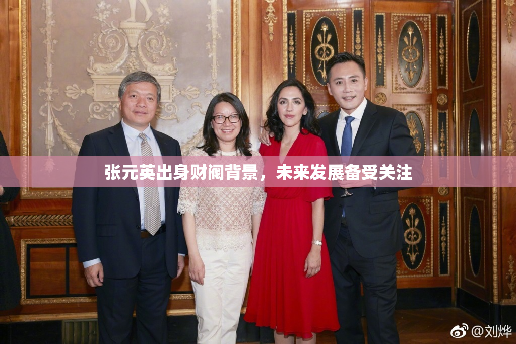 张元英出身财阀背景，未来发展备受关注