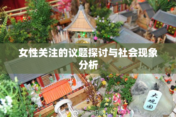 女性关注的议题探讨与社会现象分析