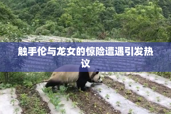 触手伦与龙女的惊险遭遇引发热议