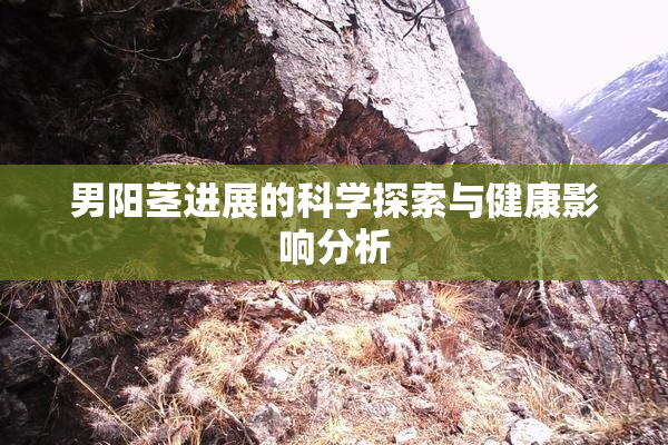 男阳茎进展的科学探索与健康影响分析