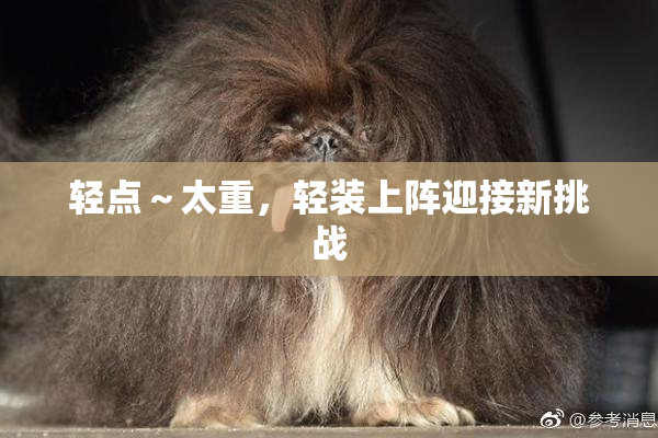 轻点～太重，轻装上阵迎接新挑战