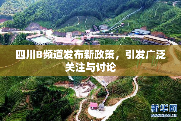 四川B频道发布新政策，引发广泛关注与讨论