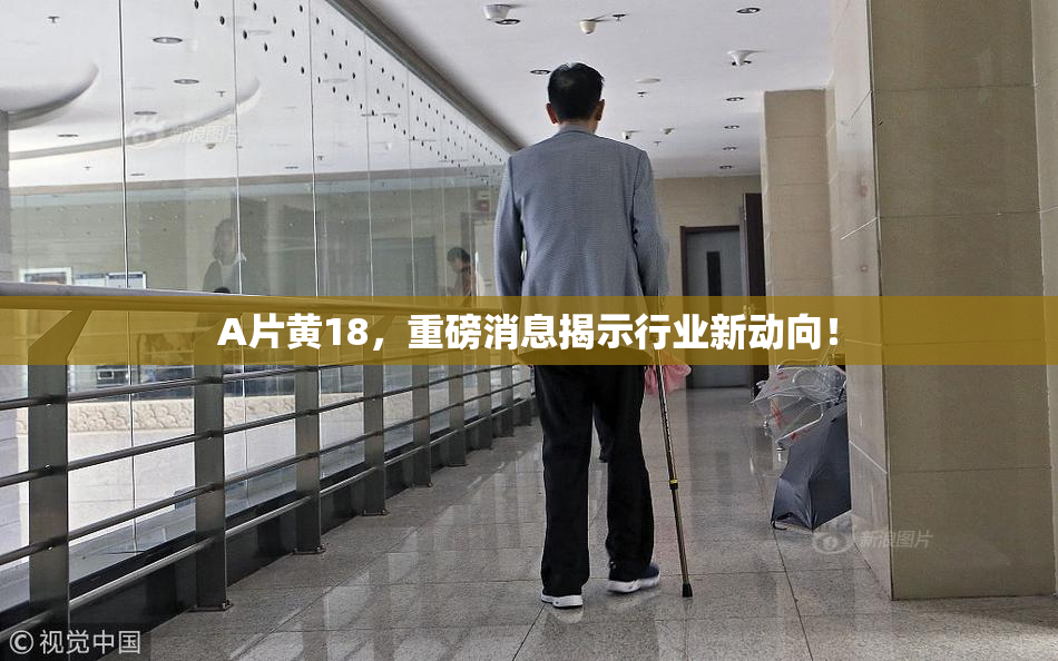 A片黄18，重磅消息揭示行业新动向！