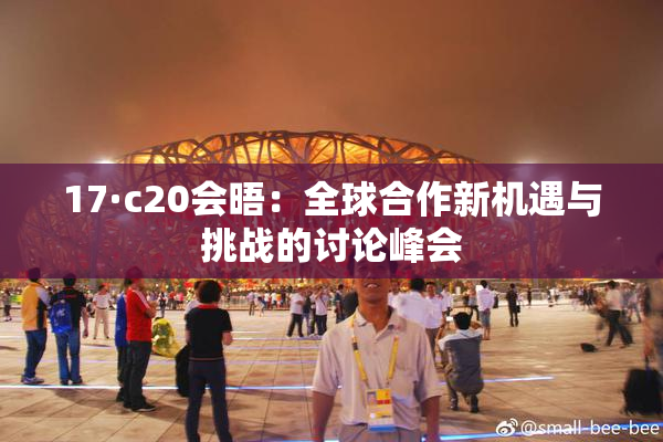 17·c20会晤：全球合作新机遇与挑战的讨论峰会