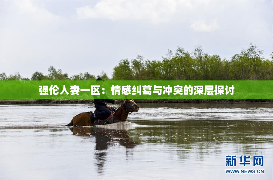 强伦人妻一区：情感纠葛与冲突的深层探讨