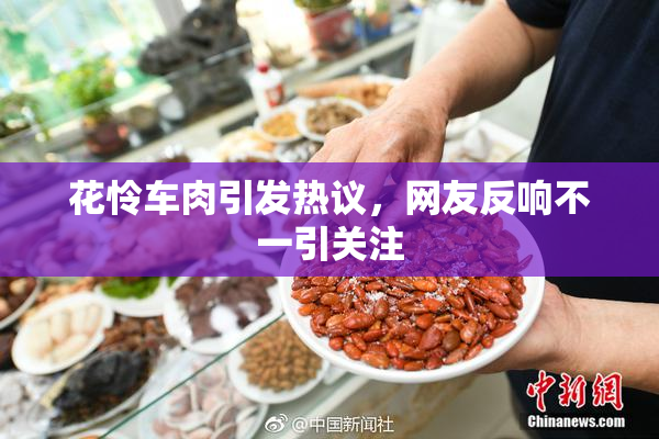 花怜车肉引发热议，网友反响不一引关注