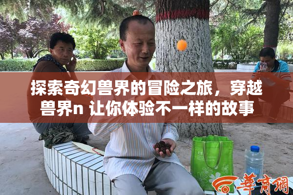 探索奇幻兽界的冒险之旅，穿越兽界n 让你体验不一样的故事