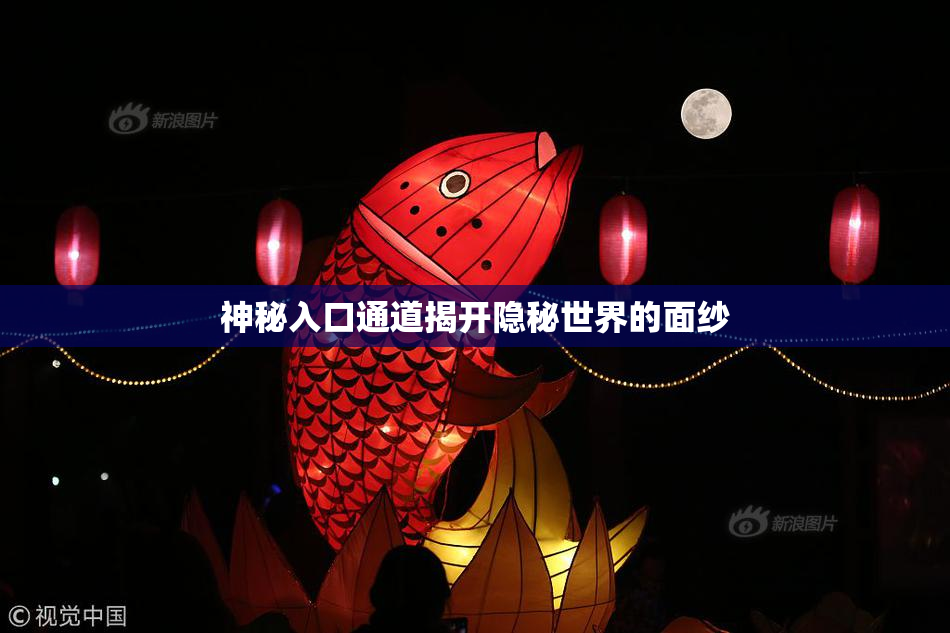 神秘入口通道揭开隐秘世界的面纱