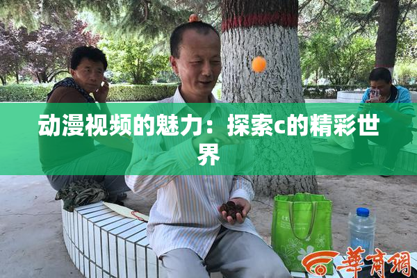 动漫视频的魅力：探索c的精彩世界