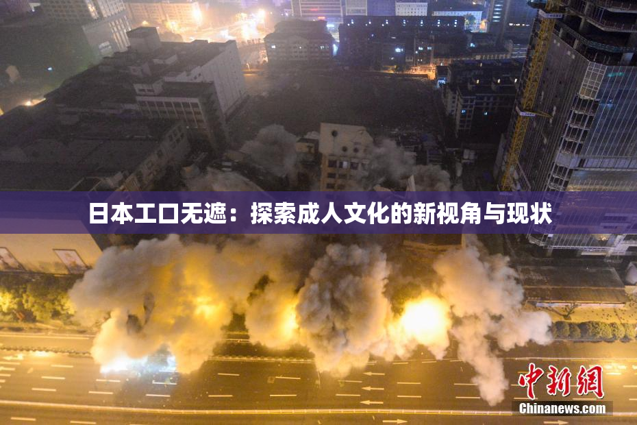 日本工口无遮：探索成人文化的新视角与现状