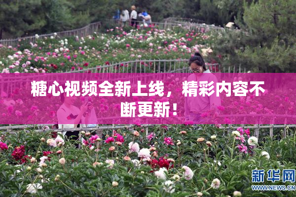 糖心视频全新上线，精彩内容不断更新！
