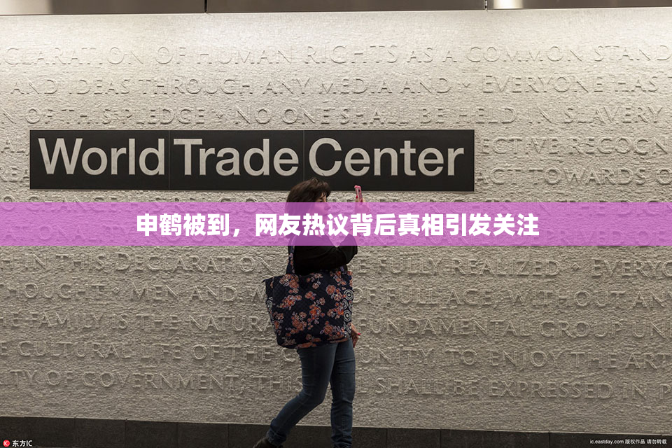 申鹤被到，网友热议背后真相引发关注