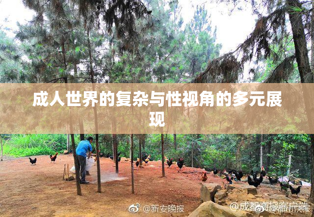 成人世界的复杂与性视角的多元展现
