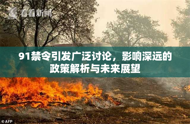 91禁令引发广泛讨论，影响深远的政策解析与未来展望