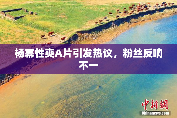 杨幂性爽A片引发热议，粉丝反响不一