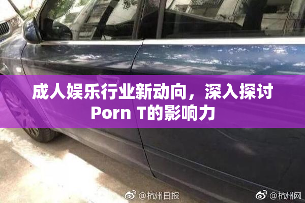成人娱乐行业新动向，深入探讨Porn T的影响力