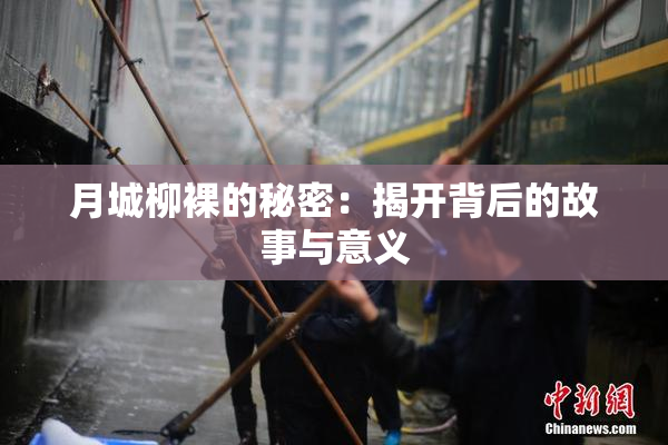 月城柳裸的秘密：揭开背后的故事与意义