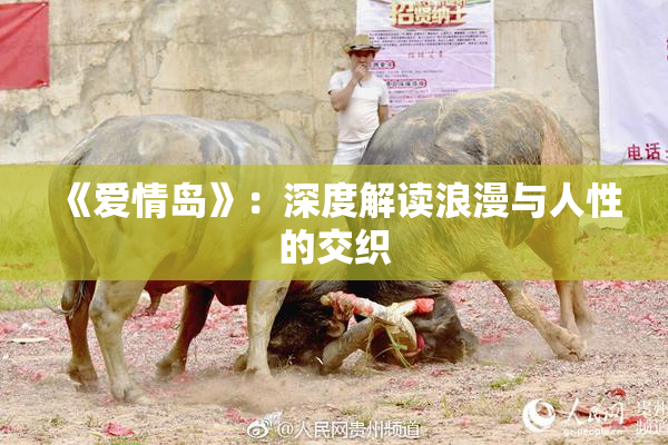 《爱情岛》：深度解读浪漫与人性的交织