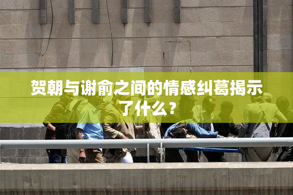 贺朝与谢俞之间的情感纠葛揭示了什么？