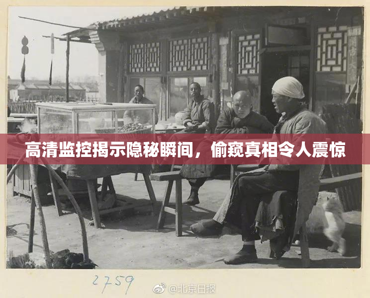 高清监控揭示隐秘瞬间，偷窥真相令人震惊