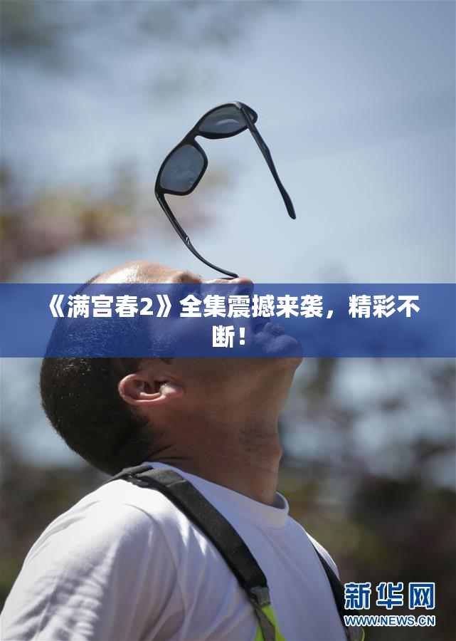 《满宫春2》全集震撼来袭，精彩不断！