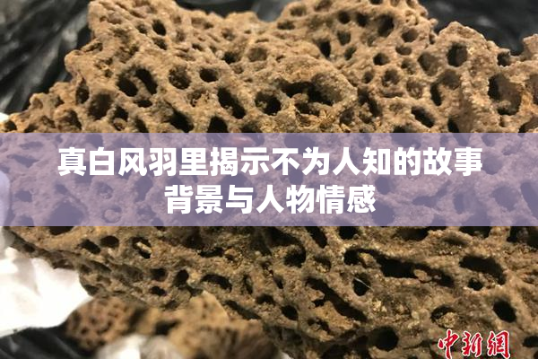 真白风羽里揭示不为人知的故事背景与人物情感