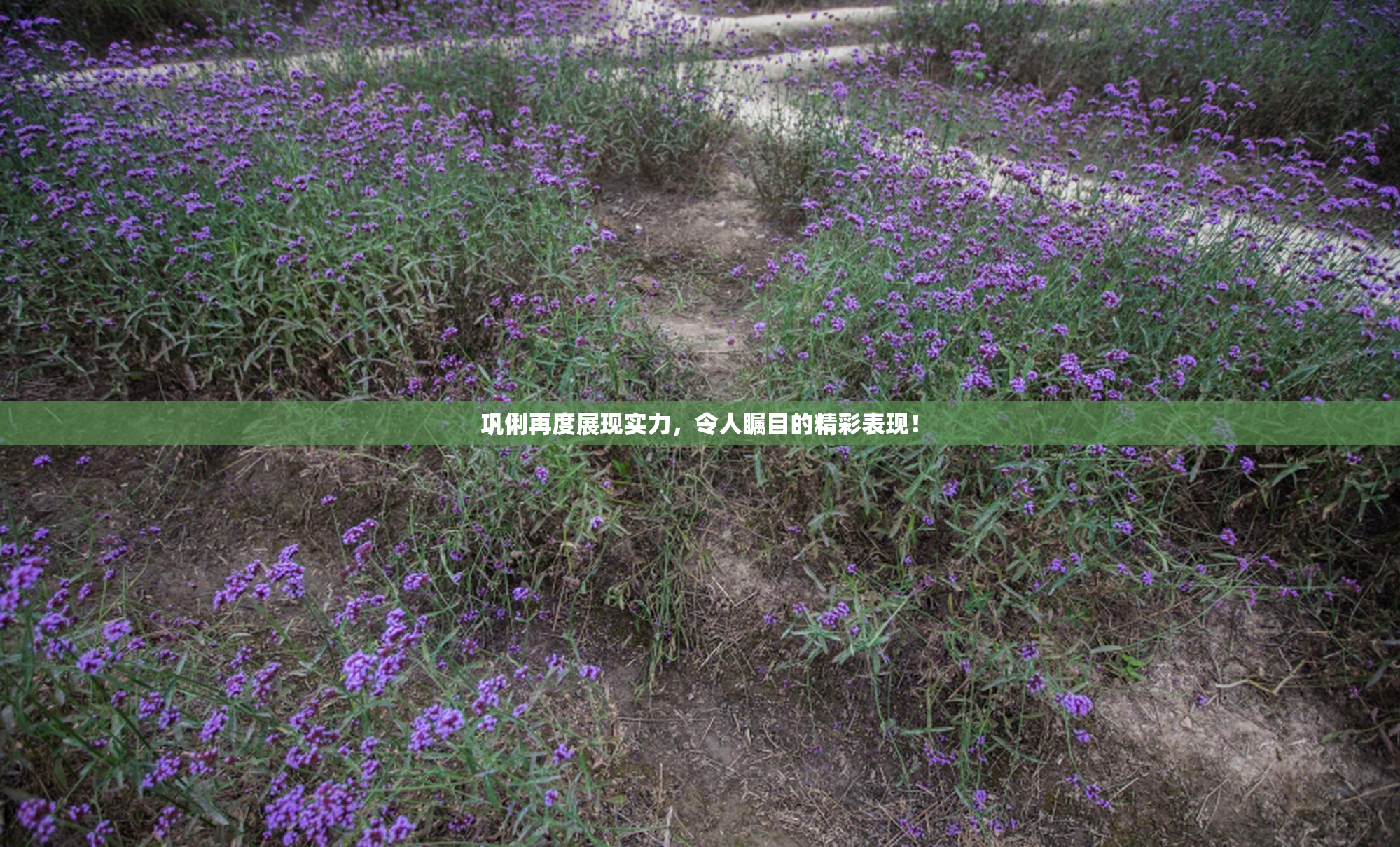 巩俐再度展现实力，令人瞩目的精彩表现！