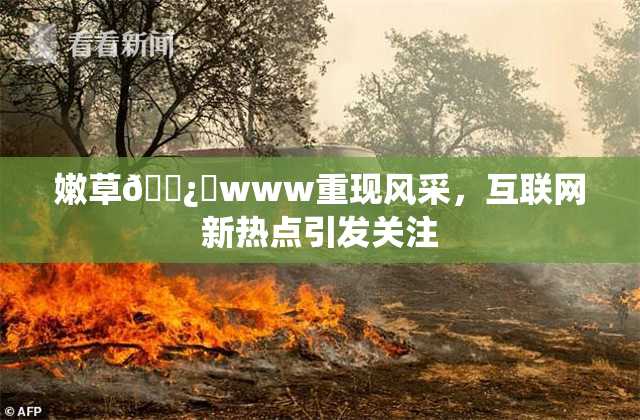 嫩草🌿‌www重现风采，互联网新热点引发关注