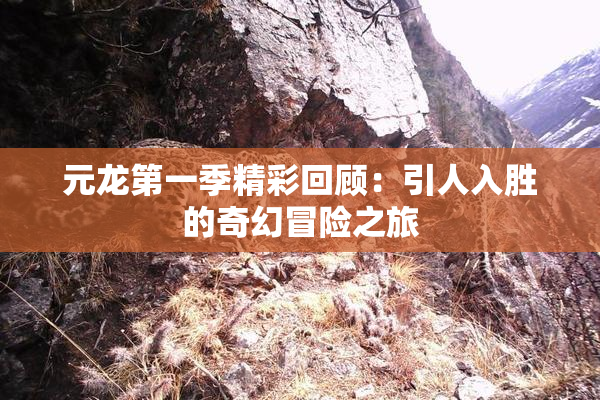 元龙第一季精彩回顾：引人入胜的奇幻冒险之旅