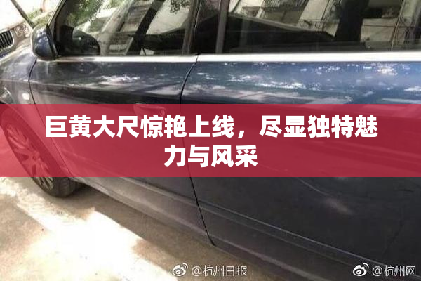巨黄大尺惊艳上线，尽显独特魅力与风采