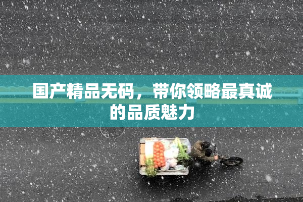 国产精品无码，带你领略最真诚的品质魅力