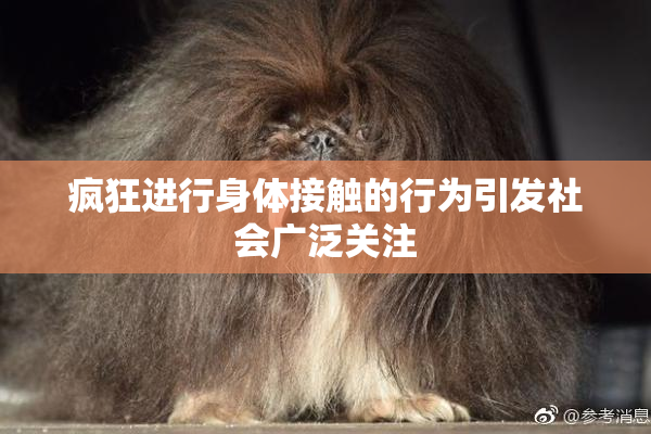 疯狂进行身体接触的行为引发社会广泛关注