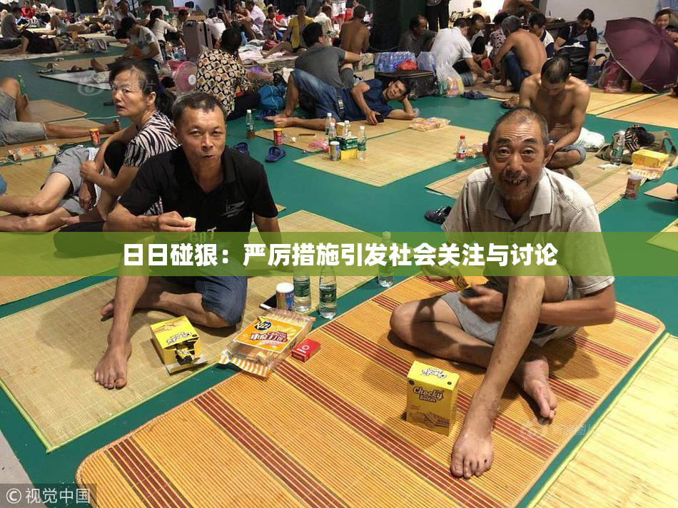 日日碰狠：严厉措施引发社会关注与讨论